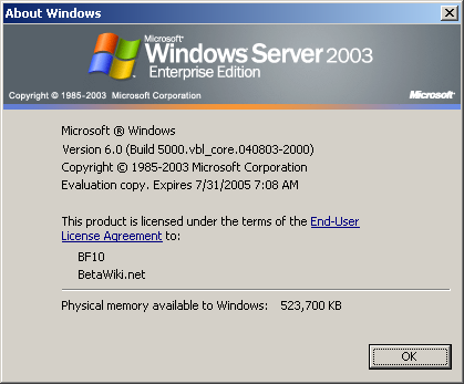 文件:WindowsServer2008-6.0.5000-040803-About.png