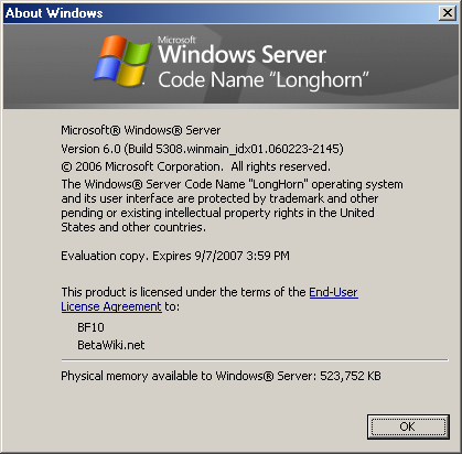 文件:WindowsServer2008-6.0.5308.60-About.png