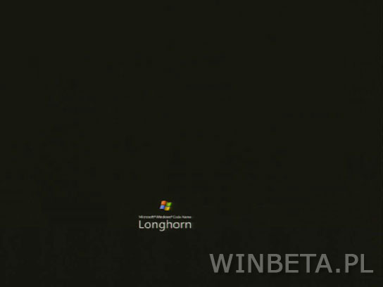 文件:Windows-6.0.5221.vbl ux dev checkin gamesux.050901-1500-ScreenSaver.jpg