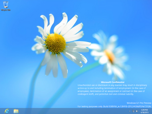 Windows 8.1-6.3.9389.0-Desktop.png