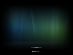 WindowsVista-6.0.5355-HibernationResume.png