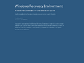 Error while booting into Windows Recovery Environment