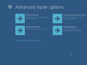 8032-Advanced repair options.png