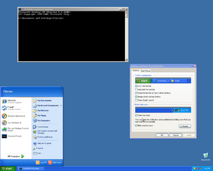 WindowsXPSP3 ClassicThemeBug.png