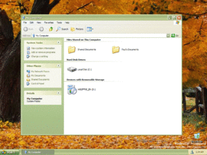 WinXP2481IDX Homestead.gif