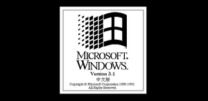 Windows31-3.1.153-HercBoot.png