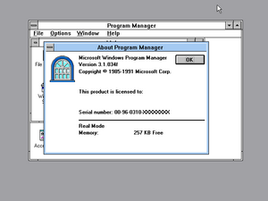 Windows3.1.034f-Real-Desk.png
