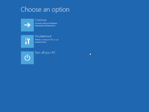 WindowsRT-build-8439-winre.png