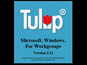 WindowsforWorkgroups3.11-3.11.300-Tulip OEM-Boot.png