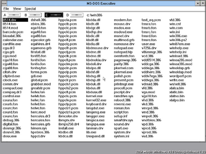 Windows3.0-3.0.33-MSDOS.png