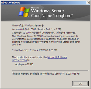 WindowsServer2008-6001.16606-About.png