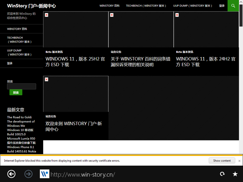 文件:7973 Immersive IE.png