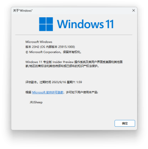 Windows11-10.0.25915.1000-Winver.png