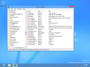 WinRT 9200ti Registry.png