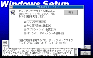 Windows-3.0B-Setup2.png