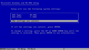 MSDOS50-Windows31-DOSSettings.png