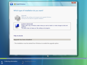 WindowsVista-6.0.5360.0-SetupInstallOptions.png