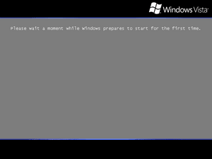 WindowsVista-6.0.5456-Setup.png