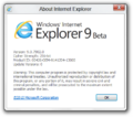 关于 Internet Explorer