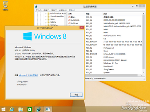 9600.17019 version.png