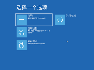 Windows11-10.0.25115.1000-RecEnvMain.png