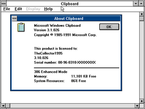 Win3.10.026 26 clipboard.png
