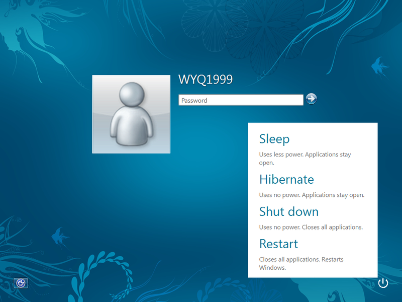 文件:7962 fblsrvwdacxml start screen 2.png