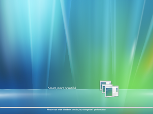 WindowsVista-6.0.5552-Performance-Check.png