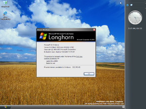 Longhorn-6.0-4053-Winver on the desktop.png