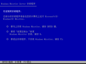 WindowsServer2003-5.1.2462-CHS-TextSetup.png