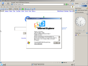 WindowsServer2008-6.0.4028-InternetExplorer.png