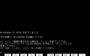 Win2.03 pc98 ins2.png