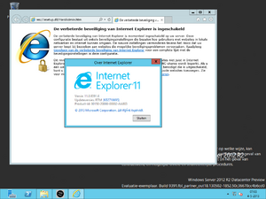 9391Server nlNL-IE11.png