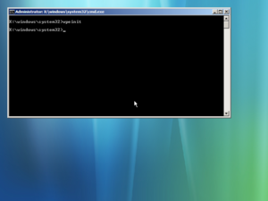 WindowsServer2008-6.0.6001.16461-WinPECommandPrompt.png
