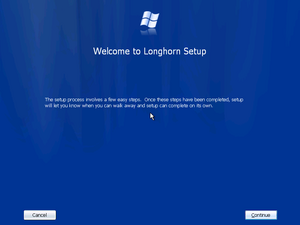 Longhorn4005WIMSetup.png
