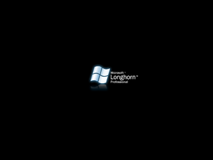 WindowsLonghorn-6.0.4008-Screensaver.png