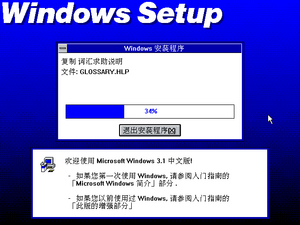 Windows 3.1-3.1.153 BETA-Installation 5.png