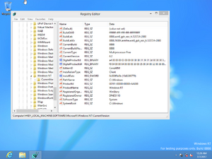 WinRT 8888ti Registry.png