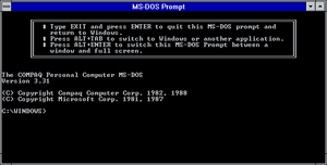 Win31103dos.png