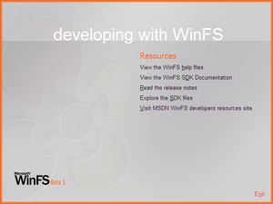 WinFS-B1-Developing.png