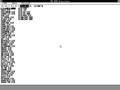 Beta Release 中的 MS-DOS Executive