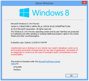 Windows 8.1-6.3.9389.0-About.png