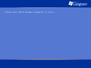 WindowsLonghorn-6.0.4011-Setup.png