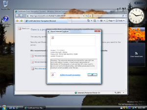 WindowsVista-6.0.5718-IEbug.png