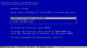 MSDOS50-Windows31-InstallMSDOSWindows.png
