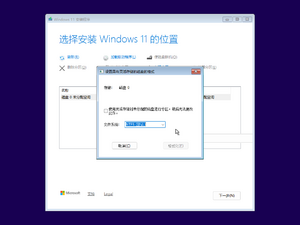 Windows11-10.0.27823.1000-WinSetup.png