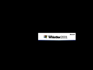 WindowsXP-5.1.2223-LoginScreensaver.png