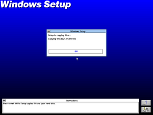 Win3126setup13.png
