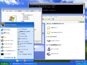 WindowsXP-5.1.2600.5512JPN-ClassicThemeBug.png