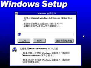 Windows 3.1-3.1.153 BETA-Installation 4.png